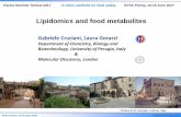Gabriele Cruciani, Laura Goracci · EFSA Parma, 13-15 June 2017 Gabriele Cruciani Washing twice with PBS Centrifugation Lipid extraction with MMC* (Methanol:MTBE:Chloroform) method