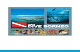 2009 DIVE BORNEO - PADI Dive Training & Education Program Boat dive schedule: 1st boat dive - 0800am