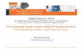 Developing large scale eHealth programmes · 2017-07-17 · Telemedicine and Telecare, 15: 98Telemedicine and Telecare, 15: 98–101. EHRA Summit 2010, Sophia Antipolis COCIR –