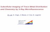 Subcellular Imaging of Trace Metal Distribution and Chemistry by … · 2007-08-09 · Subcellular Imaging of Trace Metal Distribution and Chemistry by X-Ray Microfluorescence. B.