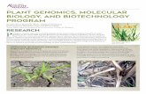 Plant Genomics, Molecular Biology, and Biotechnology Program€¦ · root systems to help propagate fastidious pathogens in vitro. Further, the microbial hairy root systems enable