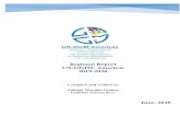 Regional Report UN-GGIM: Americas 2019-2020ggim.un.org/meetings/GGIM-committee/10th-Session/... · 4.1. UN-GGIM: Americas meeting in the framework of the 9th Session of UN-GGIM In