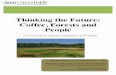 Thinking the Future: Coffee, Forests and People · 2019-04-18 · 7 THINKING THE FUTURE: COFFEE, FORESTS AND PEOPLE A fissured land In the 90’s, the entrance of Vietnam in the international