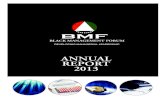 ANNUAL REPORT 2013 · putting the BMF back on a growth path. Finally thank you to our stakeholders for choosing to partner with the BMF. BONANG MOHALE I am pleased to present my first