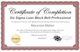 Six Sigma Lean Black Belt Professional The Board of Trustees of … Sigma... · 2020-03-10 · Six Sigma Lean Black Belt Professional The Board of Trustees of the Management and Strategy