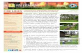 FIRE LINES February 2015 · 2019-03-08 · FIRE LINES A Joint Newsletter of the Southern Fire Exchange and the Southeastern Section of the Association for Fire Ecology IN THIS ISSUE