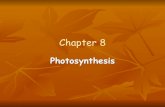 Chapter 8-Photosynthesis Teacher 2015-2016 · Investigating Photosynthesis! Jan van Helmont (1600’s): concluded that most of the plant’s mass came from water! Joseph Priestly