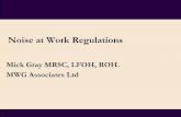 Noise at Work Regulations - Microsoftbtckstorage.blob.core.windows.net/site987/New Noise... · Noise at Work Regulations Mick Gray MRSC, LFOH, ROH. MWG Associates Ltd. The Issue •NIHL