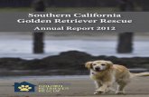 Southern California Golden Retriever Rescue · 2015-09-18 · event or just being with a Golden on his or her journey across the Rainbow Bridge. Southern California Golden Retriever