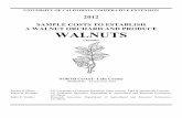 SAMPLE COSTS TO ESTABLISH A WALNUT ORCHARD AND …coststudyfiles.ucdavis.edu/.../walnutsnc2012.pdf · 2015-04-02 · Sample costs to establish a walnut orchard and produce Chandler