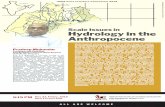 Anthropocene Hydrology in the Pradeep Mujumdar .pdf · This presentation provides an overview of recent work carried out in this direction, in India. Impacts of land use change, climate