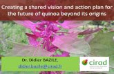 Creating a shared vision and action plan for the future of ......Dr. Didier BAZILE, didier.bazile@cirad.fr Creating a shared vision and action plan for the future of quinoa beyond