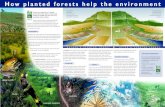 Poster - How planted forests help the environment...have been found using planted eucalypt and pine forests for this purpose. how planted forests help the environment BiODiverSity