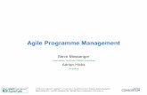 Agile ProgrammeManagement - Agile Business Conference …...•take an agile approach to programmes •be able to scale agile •to be able to incorporate both agile and non agile