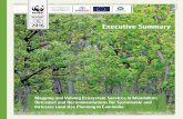 KH 2016 Executive Summaryd2ouvy59p0dg6k.cloudfront.net/downloads/mapping_and_valuing_ec… · WWF-Cambodia 2016 / Page 01 Cambodia is a country rich in natural resources that sustain