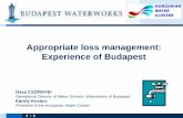 Appropriate loss management: Experience of Budapest Appropriate Loss... · 2014-05-25 · 3 Waterworks of Budapest • • vizvonal@vizmuvek.hu Managing physical losses in Budapest