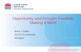Opportunity and Drought Feedlots Making it Work...Making it Work Brett J Littler SLSO (Livestock) Mudgee Drought Lot/feedlot the difference •Drought Lot –Confinement feeding in