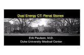 Dual Energy CT: Renal Stones · dividual Renal Stones Stone 000000 0000 Ca > Ca-OXalatO Stor"'s e > Struvite StorWS e Boll DT, etal. Assessment of renal stones employing Dual Energy