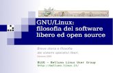 GNU/Linux: filosofia del software libero ed open source · Internet Internet (la rete) si è dimostrata fondamentale per ... Libertà di studiare come funziona il programma e adattarlo
