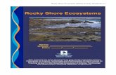 Rocky Shore Ecosystems - solitaryislandsaquarium.com...Rocky Shore Ecosystems Student Activity Workbook 9.2 ˚9 :ˆ " 9 ˆ ˇ ˘ˆ 0 111111111111111111111111111111111111111 1111111111111111111111111111111111