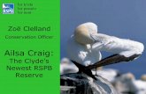 Ailsa Craig - Clyde Marine Planning Partnership...Ailsa Craig Nature Reserve and marine wildlife. •Focal point for local community- sports facilities, theatre space, exhibition areas,