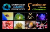 Ken Thongpila - Underwater Macro PhotographersOur Underwater Macro Photographers Facebook group has been running now for just over five years. We have more than 40,800 members and