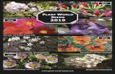 PLANT WORLD SEEDS NEW! 2019...Shoponlineat 4 tel:+44(0)1803872939 fax:+44(0)1803875018 Contents 2Introduction 3Gardens&Nursery 4GeneralInformation 5FlowerSeedCollections 6Ornamentals