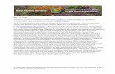 Theodore Payne Foundation’s Wild Flower Hotline is made ... … · bush (Ornithostaphylos oppositifolia), mesa horkelia (Horkelia cuneata puberula), black sage (Salvia mellifera),