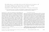 Purification and Biochemical Characterization Nuclear Antigen using Purified Antibody ...dm5migu4zj3pb.cloudfront.net/manuscripts/109000/109809/... · 2014-01-30 · precipitation