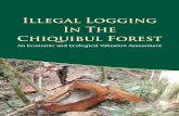 Illegal Logging In The Chiquibul Forest - Las Cuevas...Illegal logging within the CF was irst detected by FCD in 2006, but appeared to be a single and isolated case in the area of