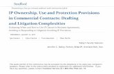 IP Ownership, Use and Protection Provisions in Commercial ...media.straffordpub.com/products/ip-ownership-use... · 8/16/2017  · –Business agreements and good practices help put