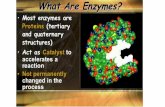 PowerPoint Presentationwestsidescience.weebly.com/uploads/4/0/0/8/40082621/enzymes.pdf · Enzymes Without Enzyme With Enzyme Free Free energy of activation Energy Reactants Products