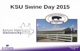 KSU Swine Day 2015 - K-State ASI Day Slides...To determine the effects of lysine and energy intake during late gestation on reproductive performance of gilts and sows. 29.5 36.2 40.6