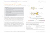 Illumina DNA Prep · Beyond the workflow improvements supported by bead-based technology, the most significant advantage of consistent and uniform insert sizes and library yields