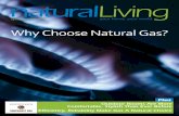 naturallivinheating season compared to the previous winter. In comparison, natural gas expenditures will drop by 1 percent, while electricity will increase 1 percent. n Natural Gas