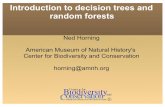 Ned Horning American Museum of Natural History's Center ...€¦ · Introduction to decision trees and random forests Ned Horning American Museum of Natural History's Center for Biodiversity
