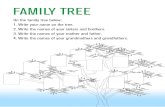 FAMILY TREE · 2017-08-31 · FAMILY TREE On the family tree below: 1. Write your name on the tree. 2. Write the names of your sisters and brothers. 3. Write the names of your mother