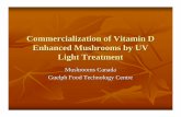 Commercialization of Vitamin D Enhanced …...oyster, enoki) UV energy / unit area (dosage) Intensity (wattage of bulbs, number of bulbs, distance) Exposu ... White Button Mushroom