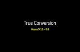 True Conversion€¦ · 3. God’s hesitant reply 6:4-6 •Just like Hoseas unfaithful wife, God sees that Israel's repentance is not deep and it is not going to last. •He knows