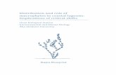 Distribution and role of macrophytes in coastal …bibbild.abo.fi/ediss/2010/rosqvist_kajsa.pdfDistribution and role of macrophytes in coastal lagoons: Implications of critical shifts