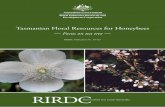 Final Report Template - victoriancollections.net.au€¦ · Tasmanian Floral Resources for Honeybees Focus on tea tree By Mark Leech December 2009 RIRDC Publication No 09/153 RIRDC