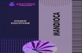 05 - CARTILHA - Cultura da Mandioca€¦ · 05 - CARTILHA - Cultura da Mandioca.cdr Author: User Created Date: 7/9/2019 10:56:46 AM ...