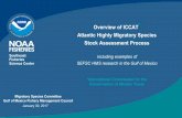 Overview of ICCAT* Atlantic Highly Migratory Species Stock ......Stock Assessment Process including examples of SEFSC HMS research in the Gulf of Mexico Southeast Fisheries Science