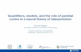 Quantiﬁers, models, and the role of parietal cortex in a ...€¦ · Giosuè Baggio Norwegian University of Science and Technology Cognitive Semantics and Quantities Amsterdam,