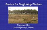 Basics for Beginning Birders - Texas Master Naturalisttxmn.org/elcamino/files/2010/03/Basics-for... · Basics for Beginning Birders Presented by: Tim Siegmund, TPWD . Equipment •