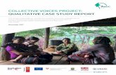 COLLECTIVE VOICES PROJECT: QUALITATIVE CASE STUDY REPORT · 2018-04-18 · Collective Voices project (November 2015-December 2017). We would also like to thank the project community