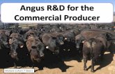 Angus R&D for the Commercial Producer · Angus Sire Benchmarking Program Cohort 5 and 6 Highest 10 v lowest 10 EBV Sires Trait Expected Difference Actual Difference Birth Weight 1.9