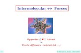 Intermolecular Forces - · PDF file 2010-07-02 · Between Neutral Molecules (van der Waals Forces ): Dipole –Dipole Dipole –Induced Dipole Self-induced (or instantaneous) Dipole