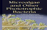 Complimentary Contributor Copy · 2015-05-26 · Chapter 1 Molecular Pharming in the Chloroplast of Chlamydomonas reinhardtii for the Production of Recombinant Therapeutic Proteins
