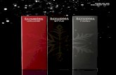 HOLIDAY 2017 - Scruples Hair Carescrupleshaircare.com/wp-content/uploads/2017/12/Holiday... · 2018-11-01 · SAVE MORE with holiday styling pairs to give (and receive!) All holiday